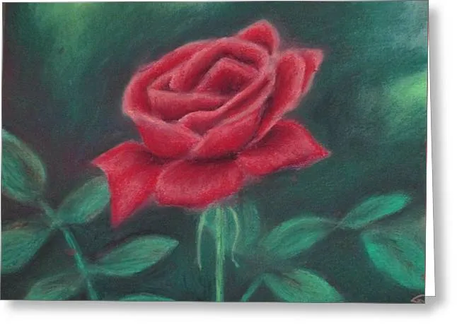 Beauty of Rose ~ Greeting Card