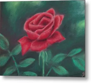 Beauty of Rose ~ Metal Print