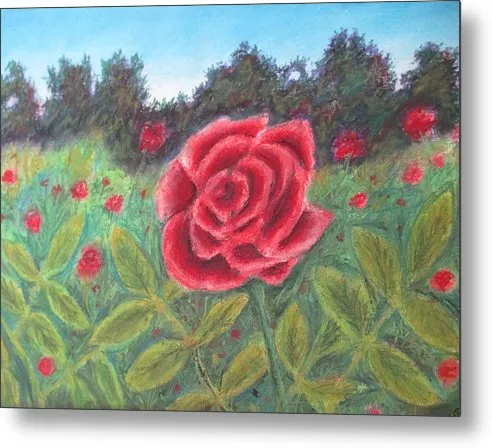 Field of Roses - Metal Print