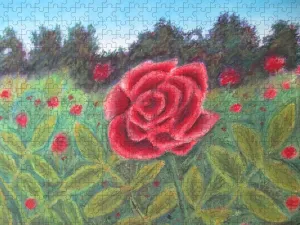 Field of Roses - Puzzle