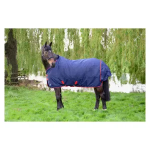 Lightweight turnout rug