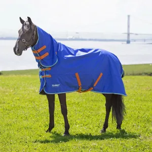 Shires Tempest Original 50g Combo Turnout Rug