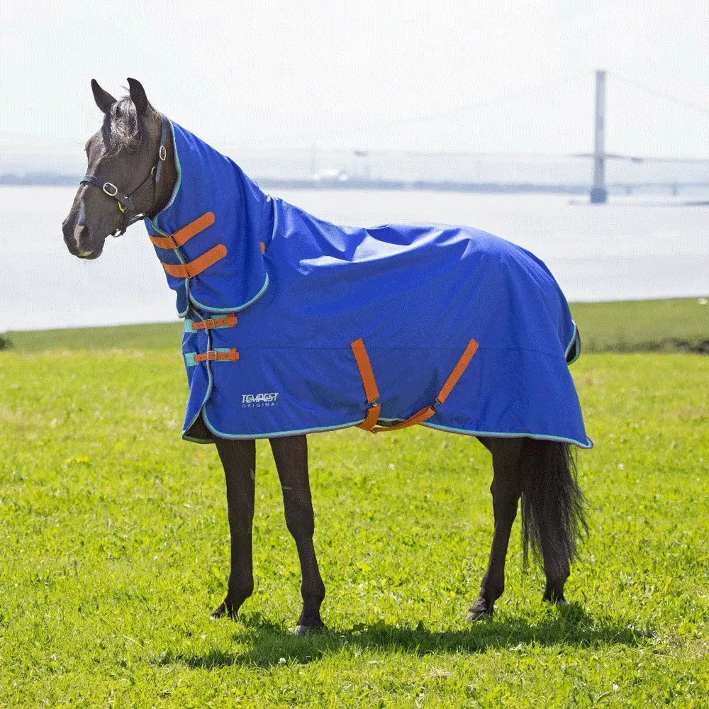 Shires Tempest Original 50g Combo Turnout Rug