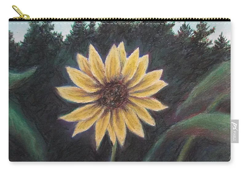 Spinning Flower Sun - Carry-All Pouch