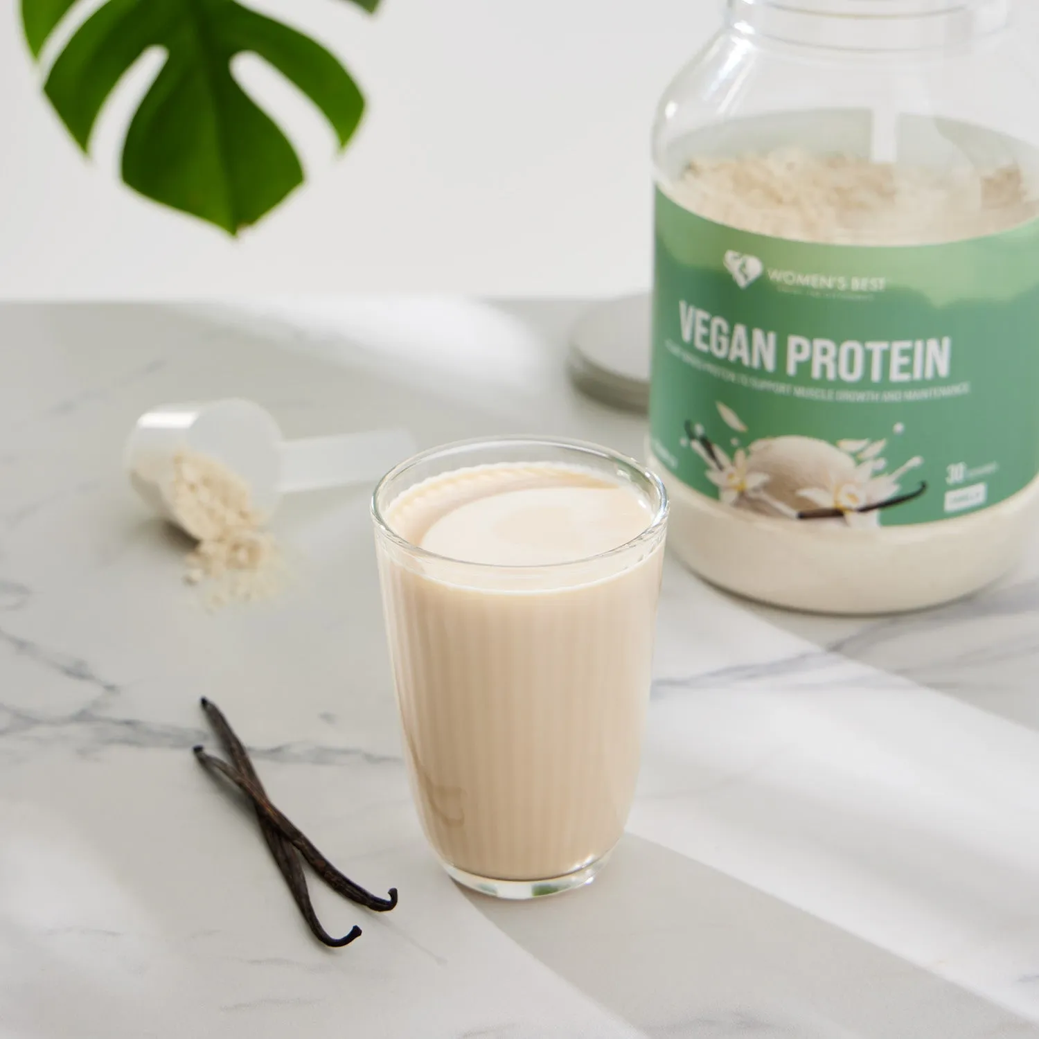 Vegan Protein